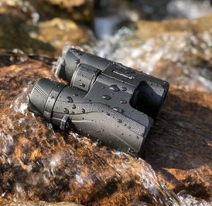 The Best Binoculars For Whale Watching